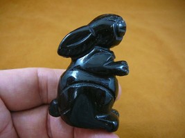 (Y-BUN-ST-712) Black Onyx gem BUNNY RABBIT gemstone carving FIGURINE rab... - $17.53