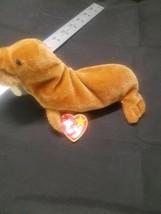 TY Beanie Baby - PAUL the Walrus (7 inch) - $3.09
