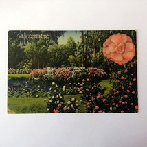  vintage Cypress Gardens FLORIDA USA Postcard ✉️ posted 1954 2 cents STAMP - £1.95 GBP