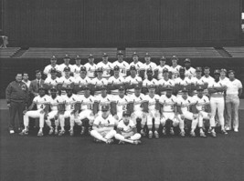 1985 St. Louis Cardinals 8X10 Team Photo Baseball Picture Mlb - £3.93 GBP