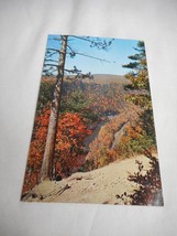 Vintage Postcard unposted Grand Canyon Pennsylvania fall nature 1950s - $111.60 MXN