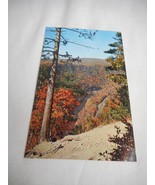 Vintage Postcard unposted Grand Canyon Pennsylvania fall nature 1950s - $6.00
