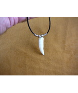 G154-1b) 1-5/8&quot; GATOR Aligator ALLIGATOR Silver Tooth teeth black NECKLA... - $23.18 CAD