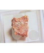 MARGARITASITE - Uranium and Rare Earth - Margaritas #1 Mine, Chihuahua, ... - €150,34 EUR