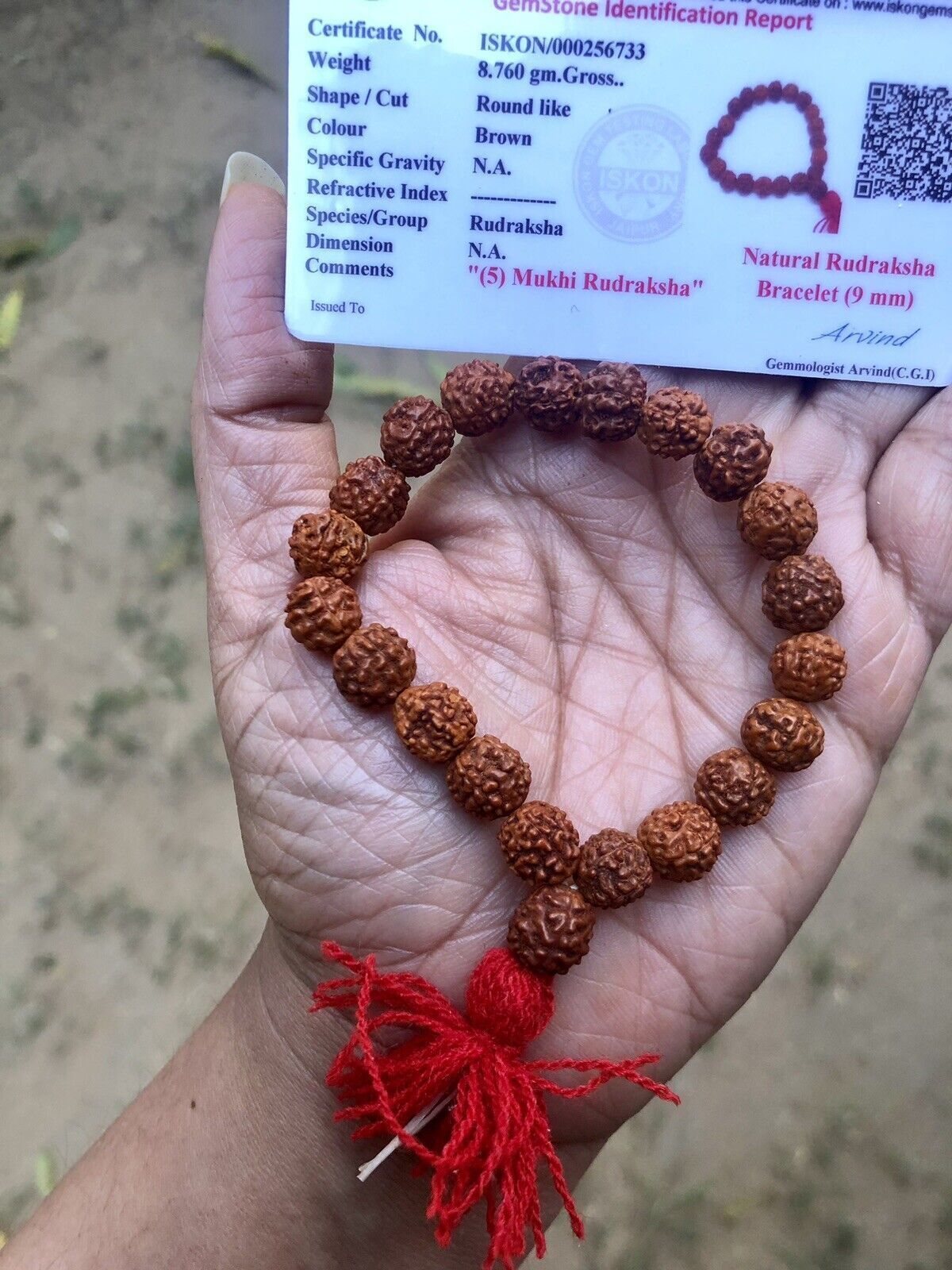 2 X LAB-ZERTIFIZIERTES natürliches RUDRAKSHA 5 Mukhi Rudraksh-Armband,... - $27.71