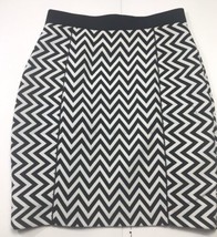 H&amp;M Woman’s Skirt Black White Size 10 Navy Waist Good Zipper 21” Long - $30.00