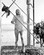 Raquel Welch takes outdoor shower wearing shirt 100 Rifles 4x6 photo - $6.99