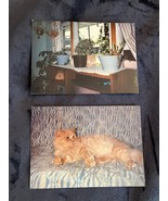 TWO 1992 COLOR PHOTOGRAPHS  OF CHARLIE THE CAT - €1,70 EUR