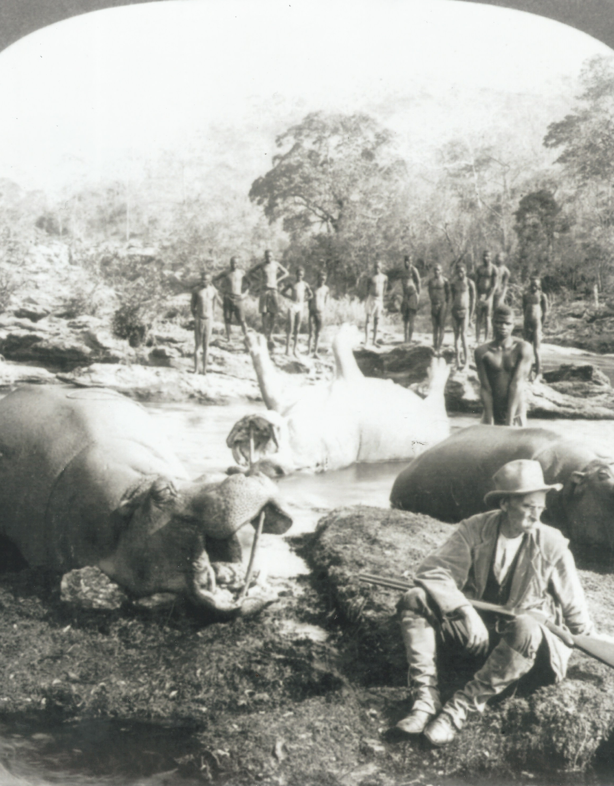 Primary image for 8x10 B&W Photograph Result Of A Mornings Hippopotamus Hunt East Africa Reprint