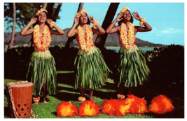 Hula Maidens Waikiki Grass Skirts Uli Ulis Implements Diamond Head Postcard - £7.14 GBP