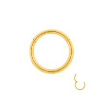 Gold Plated Stainless Steel Segment Ring Septum - £14.70 GBP