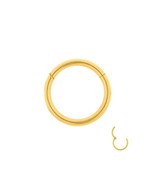 Gold Plated Stainless Steel Segment Ring Septum - £14.70 GBP