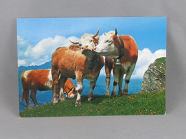 Vintage Postcard - Cattle in the Swiss Alps - Foto Gyger - £11.74 GBP