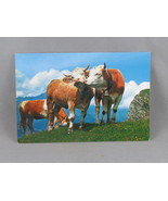 Vintage Postcard - Cattle in the Swiss Alps - Foto Gyger - $21.11 CAD