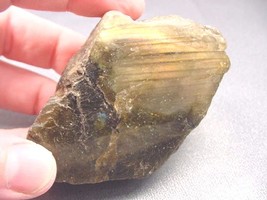 (r457-44) Yellow green LABRADORITE gem Mineral rock gemstone specimen lo... - £14.81 GBP