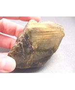 (r457-44) Yellow green LABRADORITE gem Mineral rock gemstone specimen lo... - £14.70 GBP