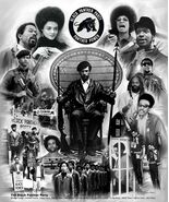 The Black Panther Party Art Poster Print - $39.55