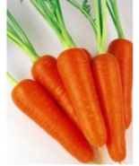 Carrot Seeds very good and Big NON-GMO Heirloom Fresh Garden Seeds easy ... - £3.93 GBP+