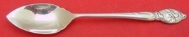 Enchanting Orchid by Westmorland Sterling Silver Grapefruit Spoon Original 6&quot; - £54.03 GBP
