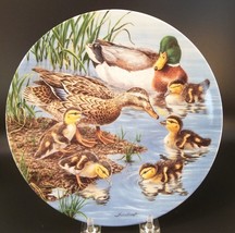 Nature&#39;s Nursery Porcelain Collector Plate Joe Thornbrugh Ducks Taking Plunge - £9.52 GBP