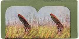 c1900&#39;s Printing Error Colorized Stereoview Hunting for Ducks. Hunter With Canoe - £12.37 GBP