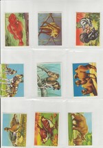1960&#39;S Wonders Of The Animal Kingdom Stickers ~ 24 Different - £3.98 GBP