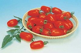 Juliet Hybrid Tomato Seeds S_S - $8.09