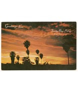 Twenty nine Palms Oasis California Postcard Unused - €5,11 EUR