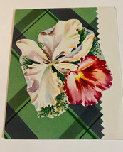 Greeting Card Birthday Flowers Fold Out  USA Vintage 5010 #1950s Numbered Signed - £5.60 GBP