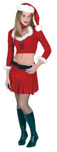 Sexy Santa Velour Set Adult Costume - Medium/Large - £72.19 GBP