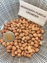 Mississipi Purple Crowder Cow Pea - Black-eyed-pea - 5+ seeds - Heirloom... - $82.66 MXN
