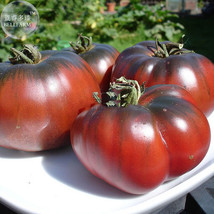 100 Seeds Giant Black Krim Tomato F2 Vegetables Super Sweet Fruits Garden - £4.64 GBP