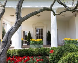View outside the Oval Office White House during Trump Administration Photo Print - $8.81+