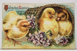 Joyful Easter Chicks In Gilded Basket 1911 Cohoctah to Linden Mich Postcard G15 - £3.15 GBP