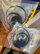 NEW OEM LOT ENERPAC Pump Repair Kit Gasket bearing pins # P202K1 P202K+ - $2,097.80 MXN