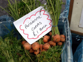 Fresh Garden 1000 Carrot Paris Great Heirloom Vegetable Seeds - $9.00