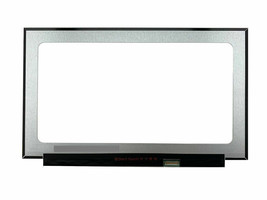New Display For Asus Chromebook CXB170CKA-BCL64N6 17.3&quot; Fhd Matte Lcd Led Screen - £60.42 GBP