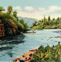 Mouth Of Musquocook Stream Maine Postcard Nature Landscape c1930s DWS5B - $19.99