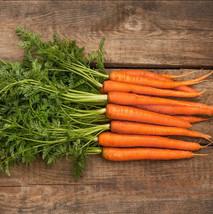 Carrot Scarlet Nantes 100 Organic Seeds Heirloom Non Gmo Fresh Usa - £7.62 GBP
