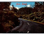 Fern Forest on Road to Kilauea Hawaii HI Chrome Postcard V22 - $1.93