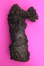 Giant Lizard Poop 5 Million Years Old Coprolite Genuine Fossil Dino Girl... - $29.99