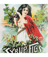 C1880s Syrup Of Figs Laxative Victorian Trade Card Lithograph Quack Med ... - $515.77 MXN