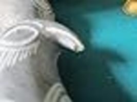 Item image 15