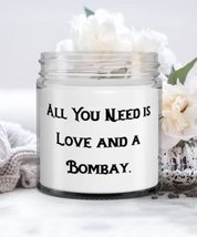 Bombay Cat Gifts For Friends, All You Need is Love and a Bombay, Cute Bombay Cat - $24.45