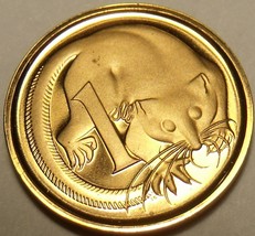 Cameo Proof Australia 1981 Cent~Only 86,000 Minted~Feathered Tailed Glid... - £4.52 GBP