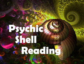 Psychic Shell Reading - The Spirits Reveal the Changing Tides of Your Fortunes - £7.11 GBP