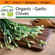 SAFLAX Garden in the Bag - Organic - Garlic-Chives - 100 certified organic seeds - £5.29 GBP