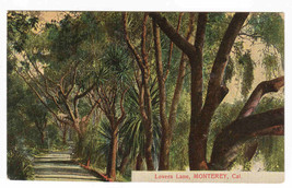 Lovers Lane Monterey California 1910c postcard - £5.06 GBP