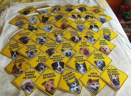 Dog on Board Car Window Sign New w/Suction Cup 5”x5” - $13.50