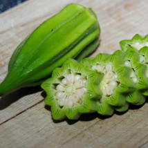 40 Star Of Okra Seeds - $11.58